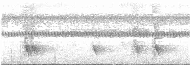 Schwarzschopf-Ameisenvogel - ML82506021