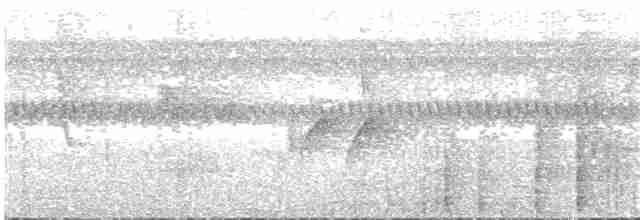 Krähenstirnvogel - ML82506401