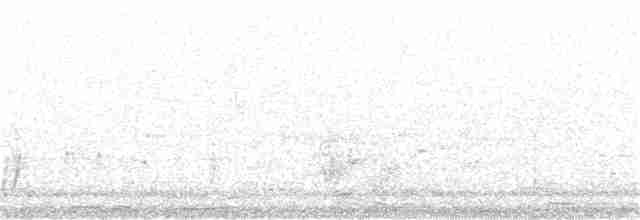 Cratérope roussâtre - ML82511941