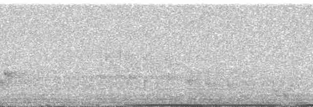 Gözlüklü Hokko (fasciolata/grayi) - ML82636