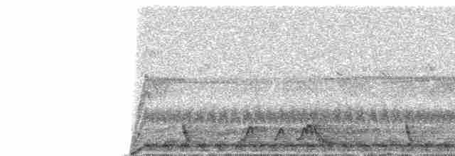 Rostnachtschwalbe [rufus-Gruppe] - ML82666