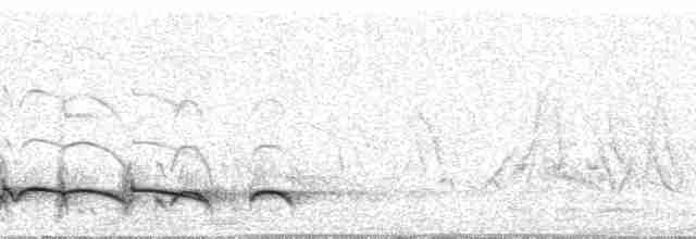 Spot-backed Puffbird (Chaco) - ML82696