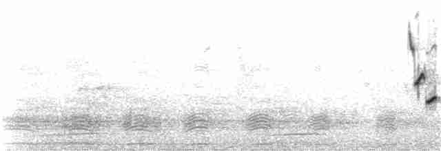 Каролинский крапивник - ML82724911