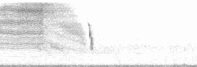 Gray Warbler-Finch - ML82873