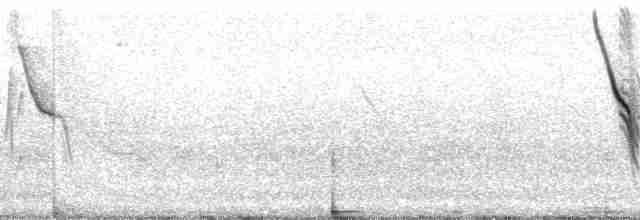 Gray Warbler-Finch - ML82877