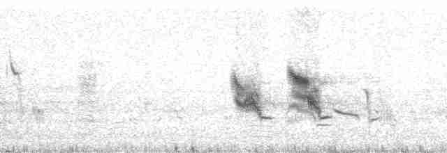 Малый галапагосский вьюрок - ML82897