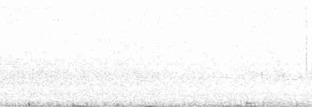 Pinzón de Darwin Fuliginoso - ML82898