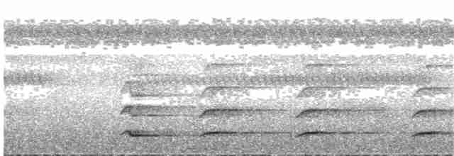 White-throated Toucan - ML83022771