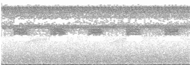 Black-capped Tinamou - ML83023031