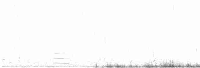Белошейная гагара - ML83024891