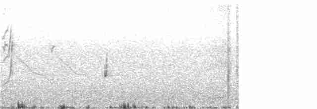 Gray-bellied Shrike-Tyrant (micropterus) - ML83038921