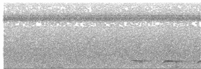 Lacivert Kuyruklu Trogon - ML83103001
