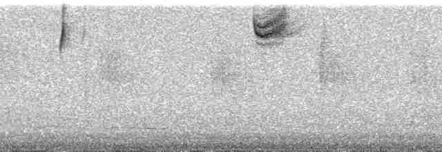 kullkronetanagar (atropileus) - ML83110