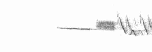 Porsuk Serçesi (pugetensis) - ML83151341
