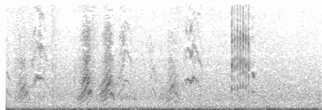 Kara Gagalı Saksağan - ML83202411
