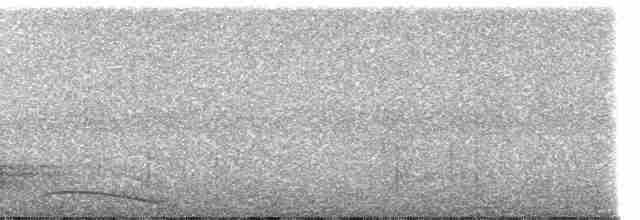 Полосатохвостый трогон - ML83288