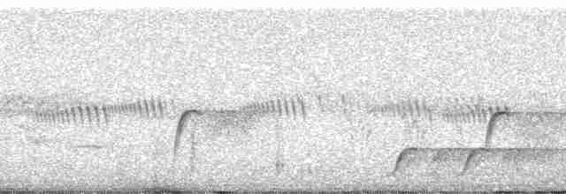 Гонолек східний (підвид fuelleborni) - ML83289