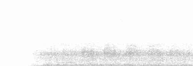 Cygne siffleur - ML83307421