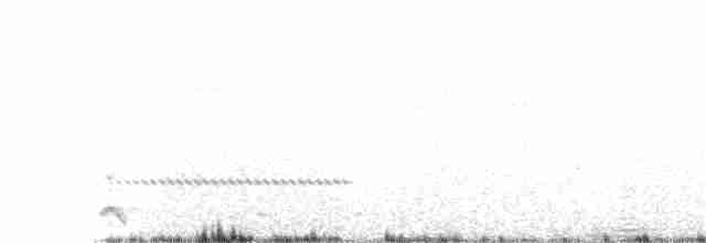 Nubiennachtschwalbe - ML83317681