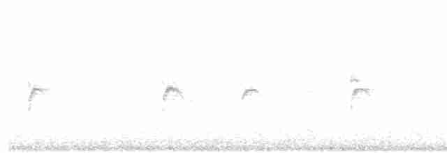 grånakkefjellfink (littoralis) - ML83345911