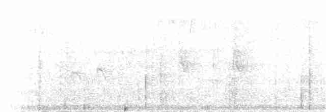 Каатинга плямистокрила [група boucardi] - ML83417351