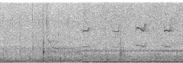 Kulaklı Orman Baykuşu (wilsonianus/tuftsi) - ML8346