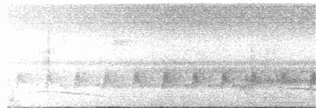 Нікорник сірий (підвид cinerea/funebris) - ML83537971