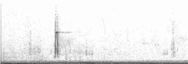 strakapoud bělohlavý - ML83574491