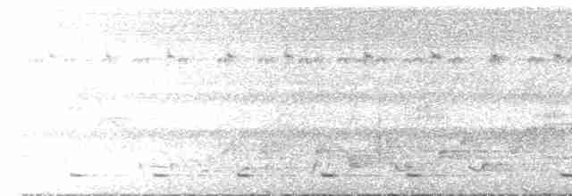 Дідрик жовтогрудий (підвид cupreus) - ML83863761