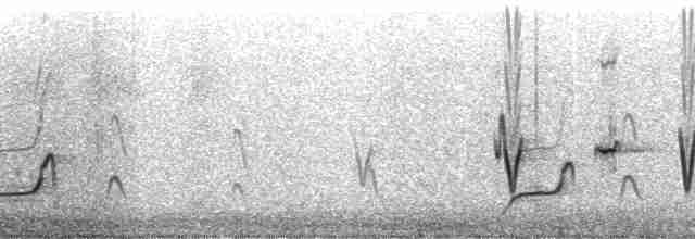 Elegant Crested-Tinamou - ML83865