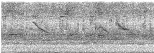 Carouge à épaulettes (californicus/mailliardorum) - ML83869301