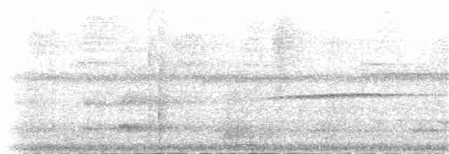 Бледный амазон (guatemalae/virenticeps) - ML83881341