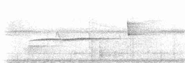 Желтошапочная корольковка [группа culicivorus] - ML83881391