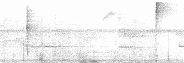 Gri Başlı Tangara [spodocephalus grubu] - ML83881431