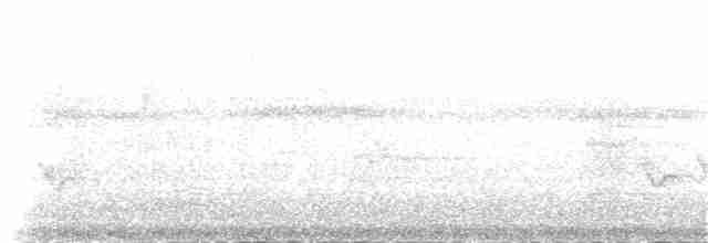 White-bellied Wren (Middle America) - ML83881711
