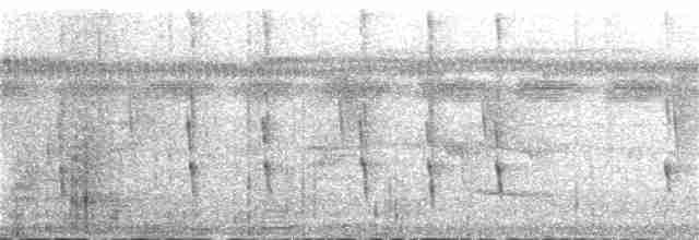 Колібрі-шаблекрил юкатанський (підвид pampa) - ML83886451