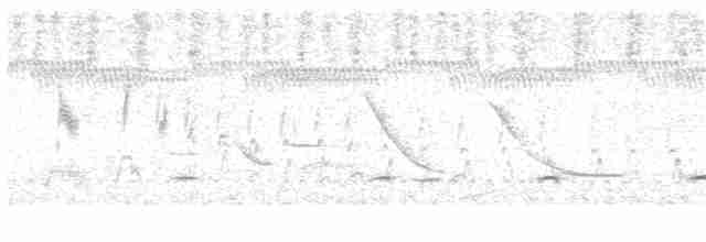 Benekli Notura Tinamusu - ML83971841