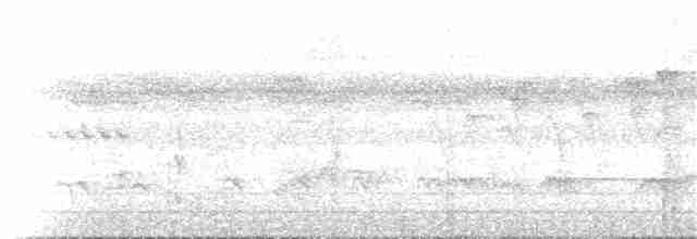 Філідор-лісовик бурочеревий (підвид infuscatus/purusianus) - ML84071091