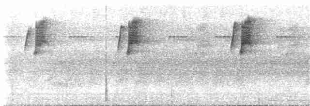 Большеклювый колибри-отшельник [группа moorei] - ML84099511