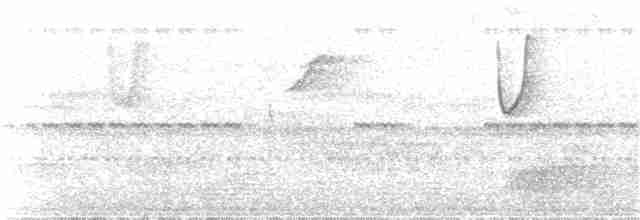 Солнечный колибри-отшельник - ML84212591