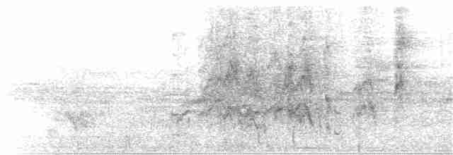Зелонощёкая которра - ML84213241