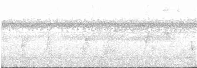White-flanked Antwren - ML84261741