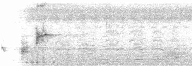 Clamorous Reed Warbler - ML84403521
