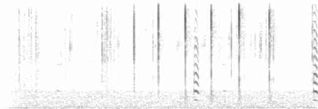 Weißbrustkleiber (carolinensis) - ML84442511