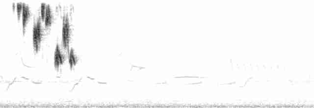 Chingolo de Henslow - ML84801