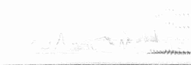 Giant Antshrike - ML84813151