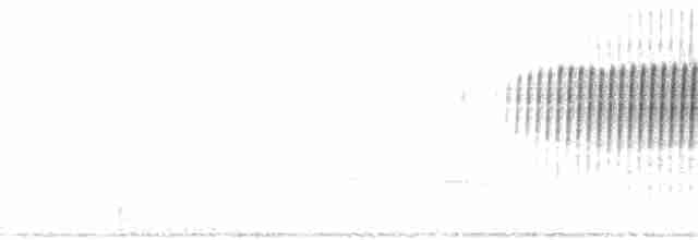 Paruline vermivore - ML84859