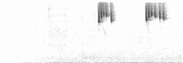 Uzun Kuyruklu Pufayak [luciani grubu] - ML84883511