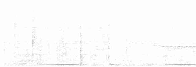 holub neotropický - ML84953791