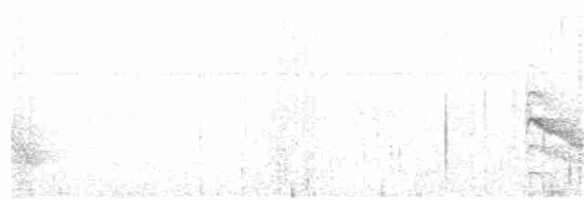 Усатый крапивник - ML84958691